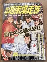 【値下げ】月刊湘南爆走族ヤングキングセレクション全20号　バンダナあり　レア Amazon.co.jp: 絶版 月刊 湘南爆走族 VOL.14吉田聡 漫画アニメヤング